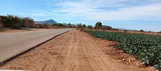 Finca rústica a Pasaje gorriones 13. Finca en zona trasvase cota 120
