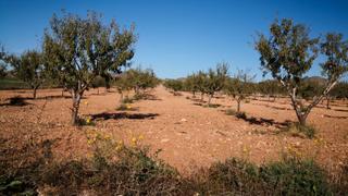 Rural plot in Pasaje castillejos 5