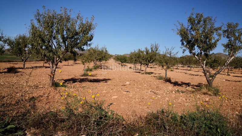 Foto 4ba68979-f7c5-45b7-af9c-2594c6561f7a. Finca rústica a pasaje castillejos 5 a La Magdalena - Molinos Marfagones Cartagena