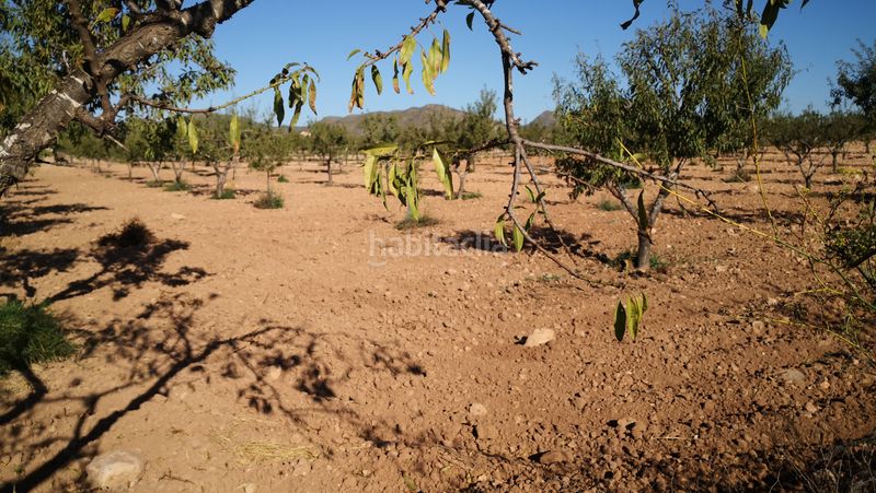 Foto b721cfa9-10b7-43f9-825e-55c2cc28d5c7. Finca rústica a pasaje castillejos 5 a La Magdalena - Molinos Marfagones Cartagena