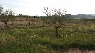 Finca rústica en La Magdalena - Molinos Marfagones. Finca rustica