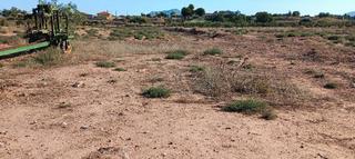 Finca rústica en La Magdalena - Molinos Marfagones. Finca rustica llana tierra roja