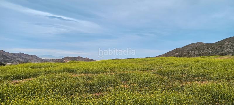 Foto cc9812b8-8a6f-484e-9d66-6a64fb9543c7. Mas dans Campo Nubla Cartagena