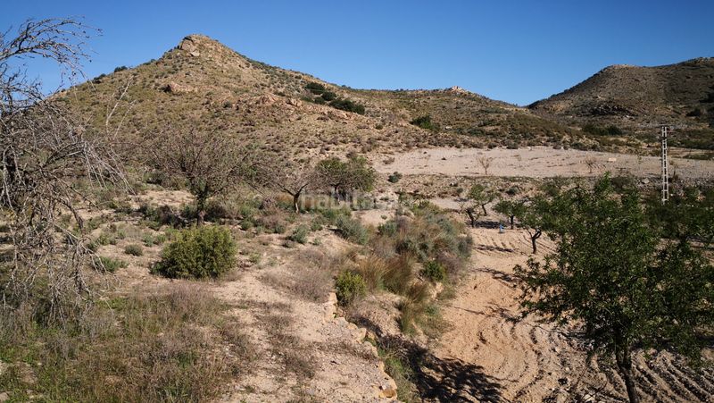 Foto 478aab89-a7a7-478f-b3aa-54aa915c9c34. Finca rústica a pasaje las grillas 26 a Los Puertos Cartagena