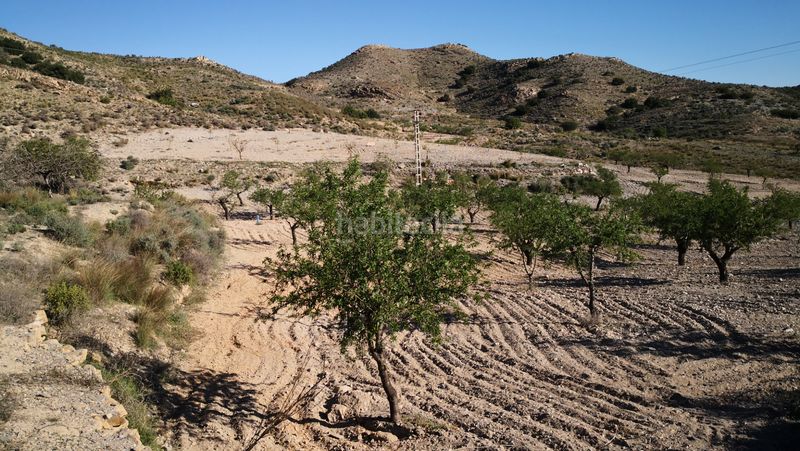 Foto a66951c9-bf73-4fc1-839a-f4565acfaf82. Finca rústica a pasaje las grillas 26 a Los Puertos Cartagena