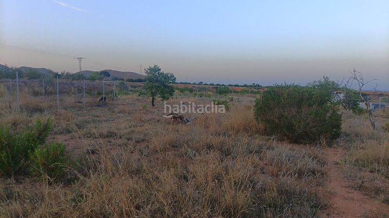 Foto 84ca3117-7111-405c-a15a-ba728fd7b95f. Finca rústica a lugar la perinera 1 a Los Puertos Cartagena