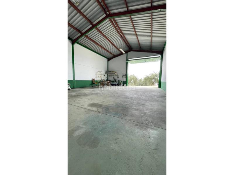 Foto 07e349ea-6af4-47fc-8f63-172fea4dd5a0. Terreno residencial parcela con edificación en venta en Cabra