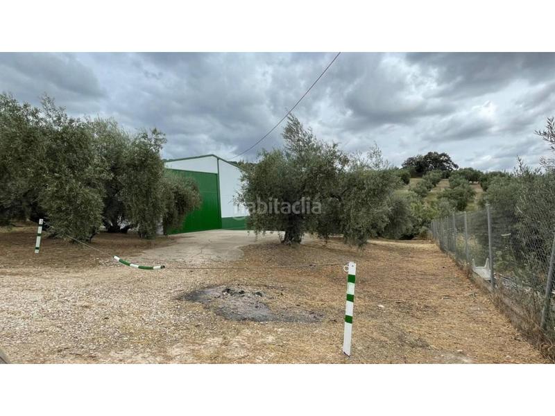 Foto 2504199d-fefd-4e4b-b950-e2bf422084ee. Terreno residencial parcela con edificación en venta en Cabra