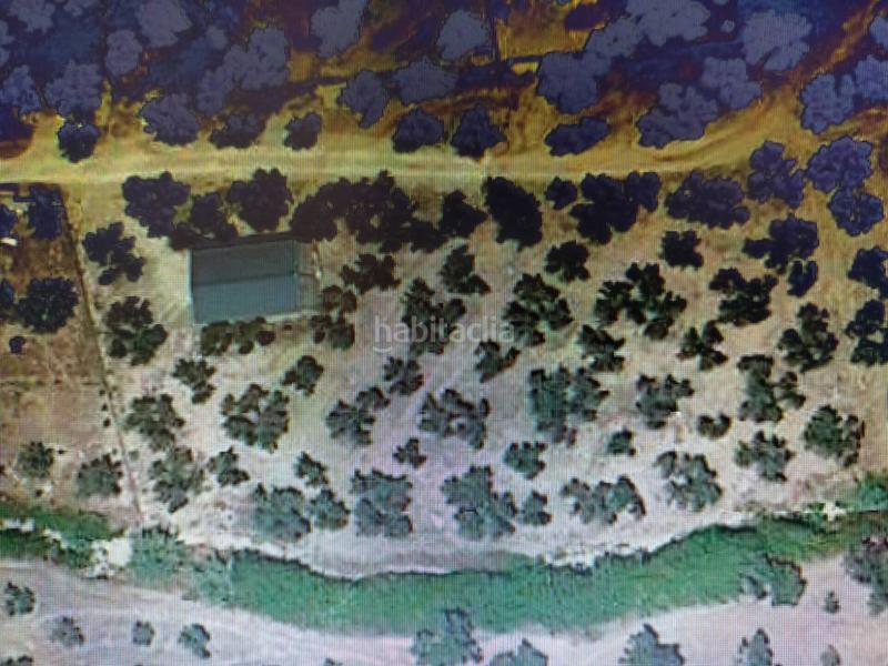 Foto ce008b7e-5365-40d6-ab37-2c71956e6f24. Terreno residencial parcela con edificación en venta en Cabra