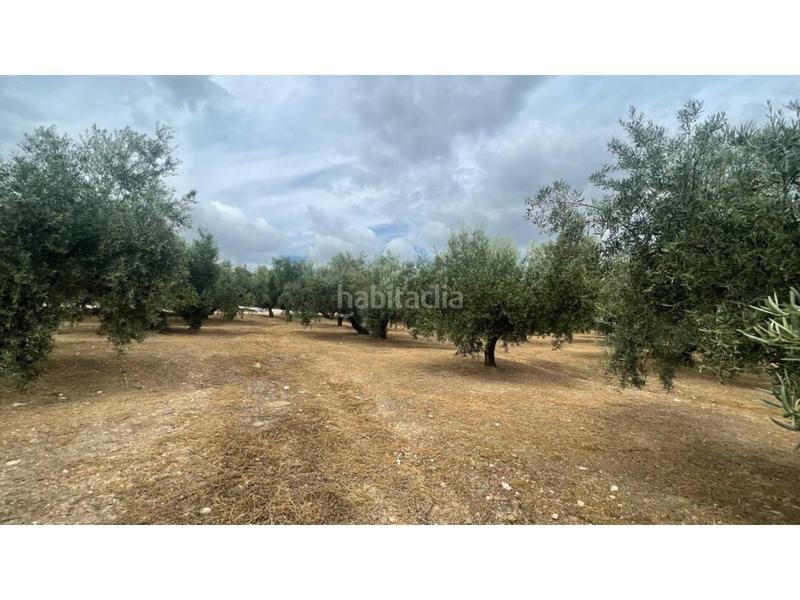 Foto f95ad154-057d-485f-975c-db80d714070d. Terreno residencial parcela con edificación en venta en Cabra