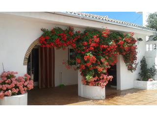 Haus  La sierra. Casa reformada en  la concepción de priego de córdoba