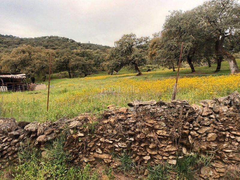 Foto aa7adbc0-07f2-4491-9b9e-1e653d7f3551. Finca rústica a Cortelazor