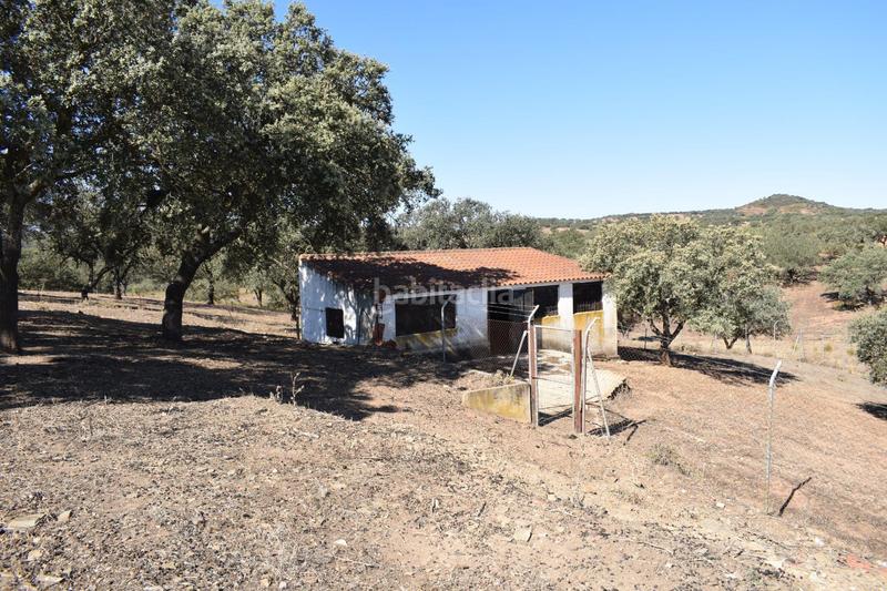 Foto 3a2cc7fa-f845-4356-b270-5afc131b03e4. Finca rústica gran terreno rústico en el cerro del andévalo huelva oportunidad en Cerro de Andévalo (El)