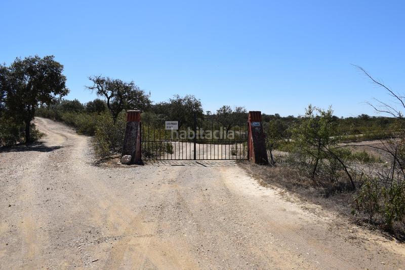 Foto 3c4fa0ea-88c5-4598-b089-e8301045ce81. Finca rústica gran terreno rústico en el cerro del andévalo huelva oportunidad en Cerro de Andévalo (El)