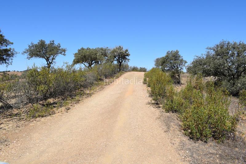 Foto 4f2b32a7-3b8d-4ff9-8d7c-5d50eb5bc866. Finca rústica gran terreno rústico en el cerro del andévalo huelva oportunidad en Cerro de Andévalo (El)