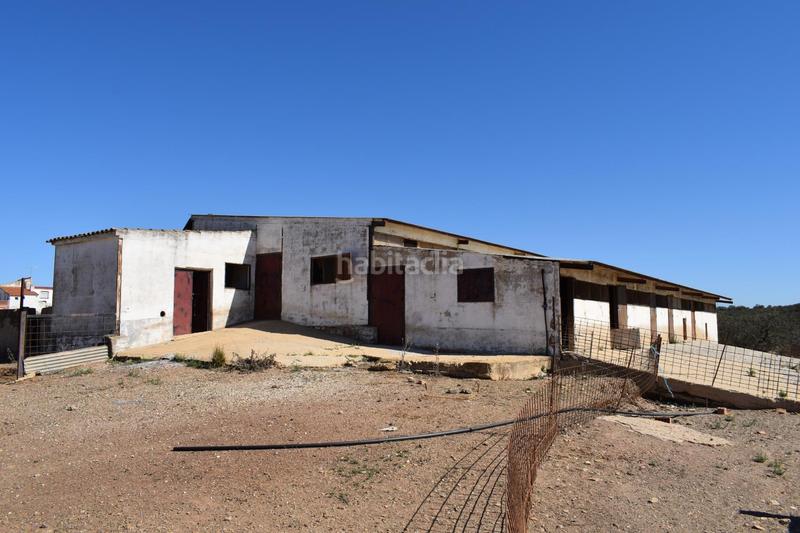 Foto 5c92ba2f-6f64-4649-bb26-641934c61229. Finca rústica gran terreno rústico en el cerro del andévalo huelva oportunidad en Cerro de Andévalo (El)