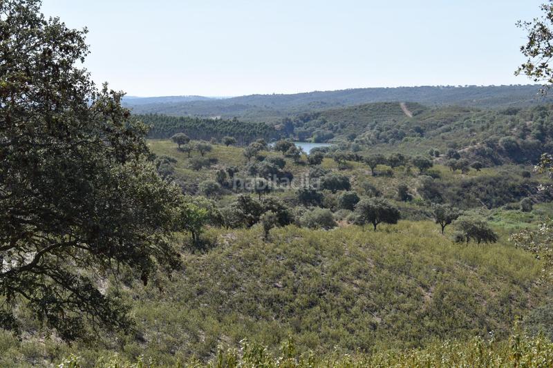 Foto 76b38dbf-aadb-4acb-a66a-475f54e538ff. Finca rústica gran terreno rústico en el cerro del andévalo huelva oportunidad en Cerro de Andévalo (El)