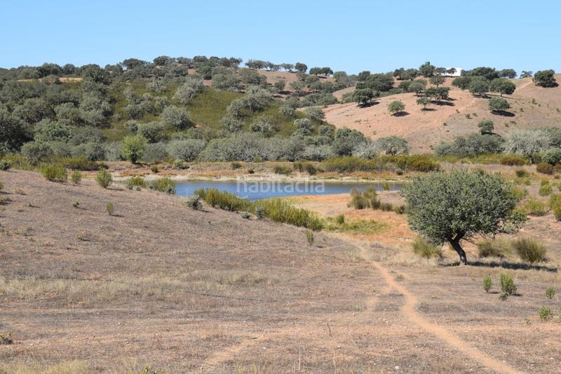 Foto 87305621-9487-46bb-9bd0-61640d16fc41. Finca rústica gran terreno rústico en el cerro del andévalo huelva oportunidad en Cerro de Andévalo (El)