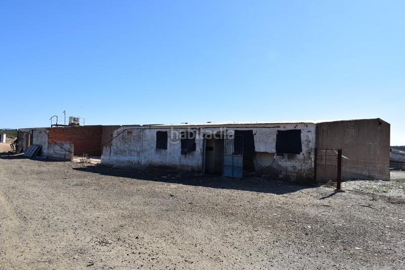 Foto a5d987e9-3913-41eb-8ed7-4966ed8a8de4. Finca rústica gran terreno rústico en el cerro del andévalo huelva oportunidad en Cerro de Andévalo (El)
