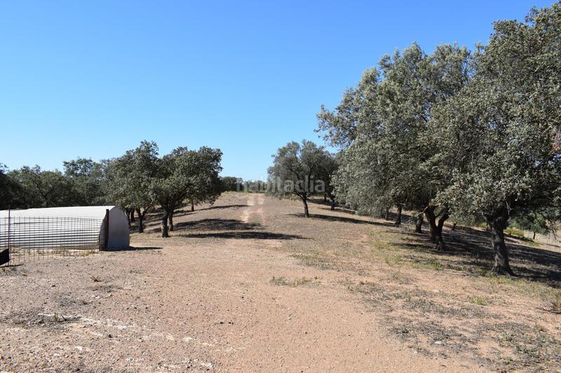 Foto c072fd46-380c-4d6a-b857-4b9f0278c8a5. Finca rústica gran terreno rústico en el cerro del andévalo huelva oportunidad en Cerro de Andévalo (El)