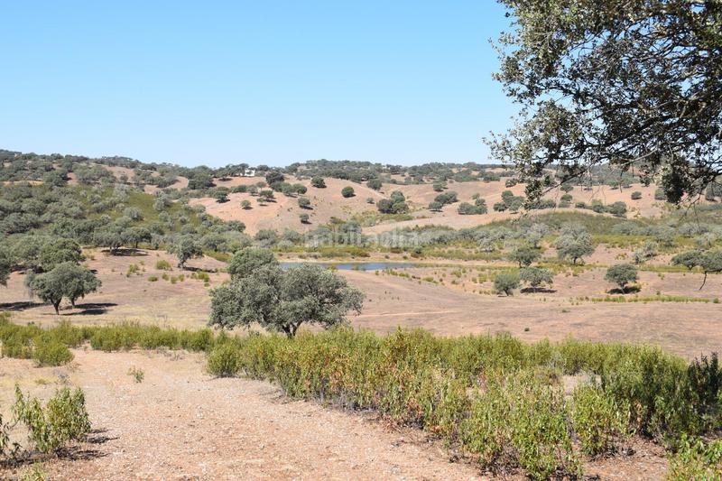 Foto c410adf7-0aae-4d7e-8451-a753f2eee8e9. Finca rústica gran terreno rústico en el cerro del andévalo huelva oportunidad en Cerro de Andévalo (El)