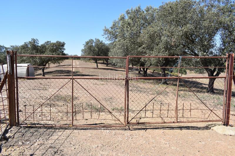 Foto c4aed55b-f078-44d2-a515-0f80b3dc7b84. Finca rústica gran terreno rústico en el cerro del andévalo huelva oportunidad en Cerro de Andévalo (El)