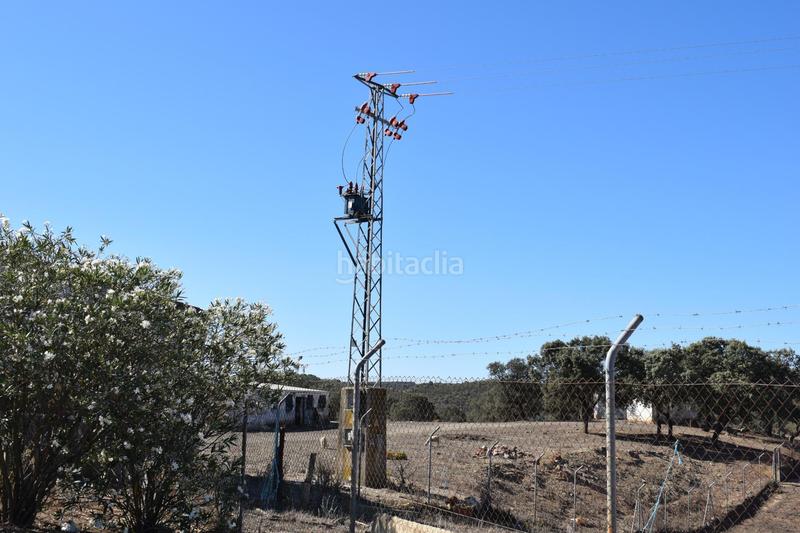 Foto e707c140-94ea-48bf-97eb-4d415c948710. Finca rústica gran terreno rústico en el cerro del andévalo huelva oportunidad en Cerro de Andévalo (El)