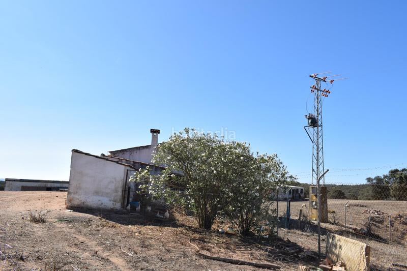 Foto f3e7394e-c5d0-4edf-aaec-0d4c4c26eca8. Finca rústica gran terreno rústico en el cerro del andévalo huelva oportunidad en Cerro de Andévalo (El)