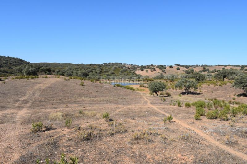 Foto f8d05879-f179-4b8c-b9e8-c7421676549f. Finca rústica gran terreno rústico en el cerro del andévalo huelva oportunidad en Cerro de Andévalo (El)