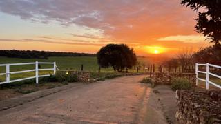 Masia a Paterna del Campo. Dehesa de 87 hectáreas con buenas instalaciones taurinas e hípic