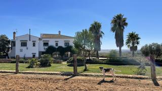 Masia a Paterna del Campo. Dehesa de 87 hectáreas con buenas instalaciones taurinas e hípic