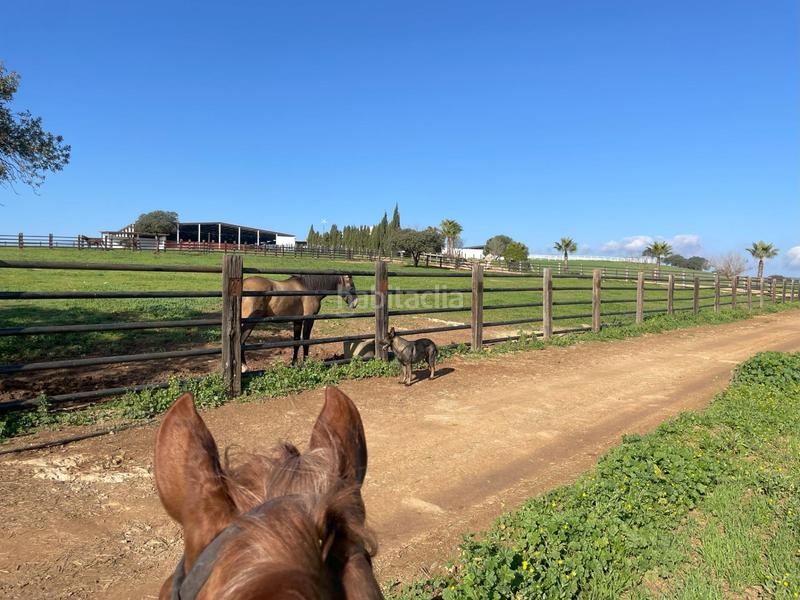 Foto 4c2165e0-a049-44ca-89b6-5bbfadf76c95. Masia amb calefacció a Paterna del Campo