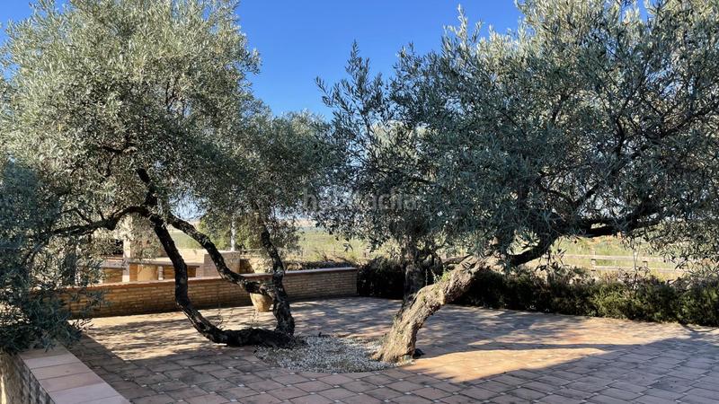 Foto 7217c428-2e11-4feb-8ca0-497df3482257. Masia amb calefacció a Paterna del Campo