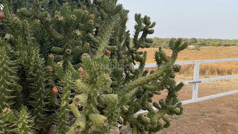 Foto ff2e6662-8b78-43b9-93b1-f0989786df4a. Masia amb calefacció a Paterna del Campo