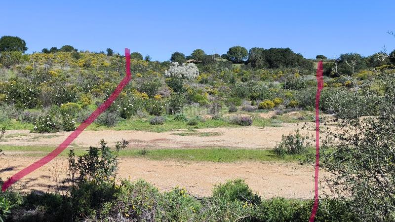 Foto 8a273716-8183-4bed-bbd2-f26007968349. Terreno residencial excelente parcela en campo de golf Costa Esuri en Ayamonte