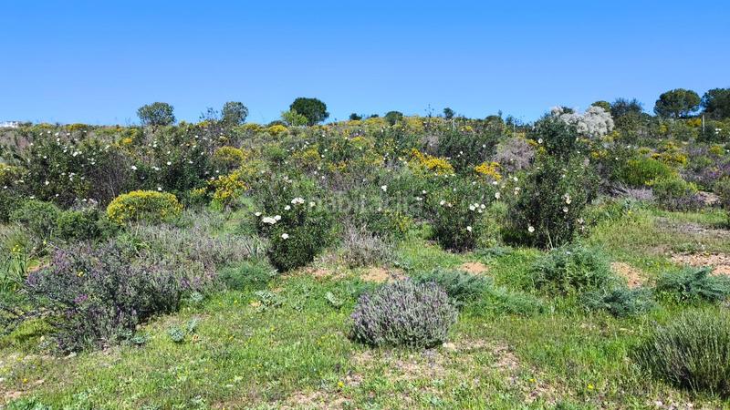 Foto b4694a3b-fd51-4117-bb66-45ba03f8c3a0. Terreno residencial excelente parcela en campo de golf Costa Esuri en Ayamonte