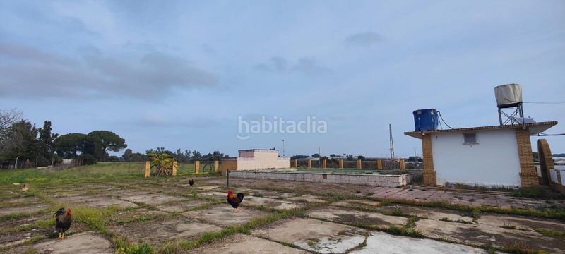 Foto 1bde4e9a-74b0-42c4-82d6-f273d85297b4. Masia amb calefacció piscina a Gibraleón