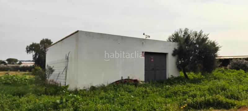 Foto 8ed8781a-772d-431f-b8e9-7c567e77fbce. Masía finca rústica zona la calvilla en Gibraleón