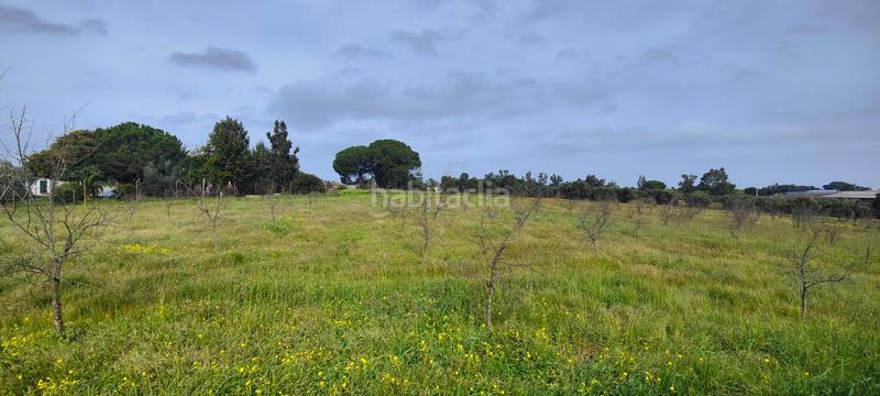 Foto 99aaf732-f477-41e3-8944-b0a24bb54446. Masía finca rústica zona la calvilla en Gibraleón