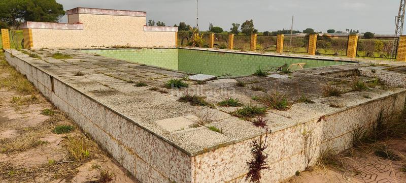 Foto e3cc893d-f20f-4086-982b-be832d386555. Masía finca rústica zona la calvilla en Gibraleón