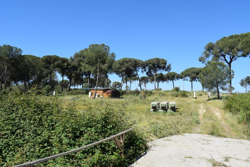 Foto 1dd29a8a-bc81-4488-946a-db57cd36f132. Masía finca rústica huelva en Lucena del Puerto