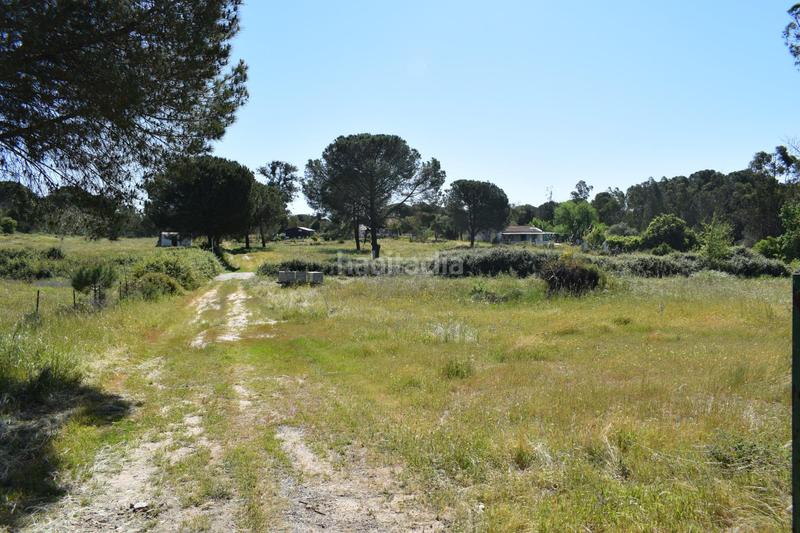 Foto 6fa050d0-c4e5-4a2e-a5bf-d056cd0a55e9. Masía finca rústica huelva en Lucena del Puerto