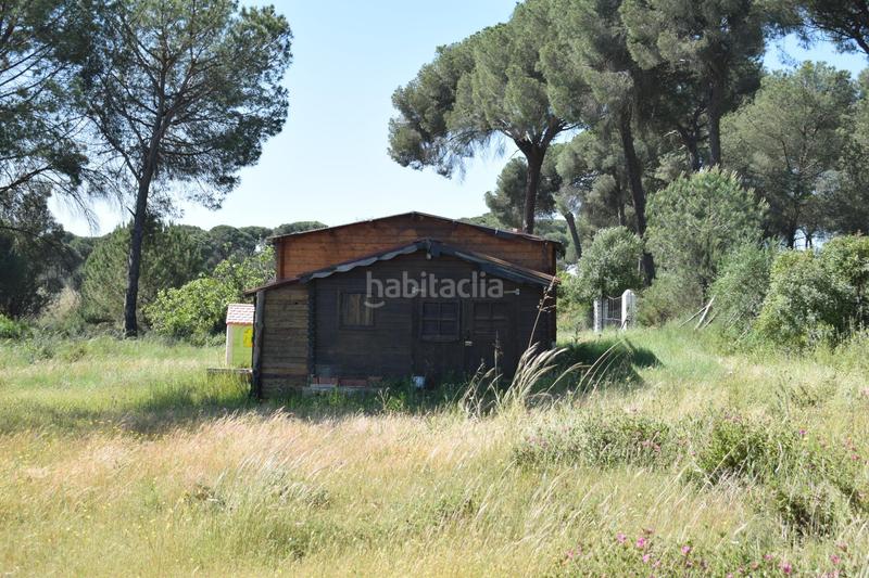 Foto 82685e12-f7a7-4cf8-9d3d-714627a8478c. Masía finca rústica huelva en Lucena del Puerto