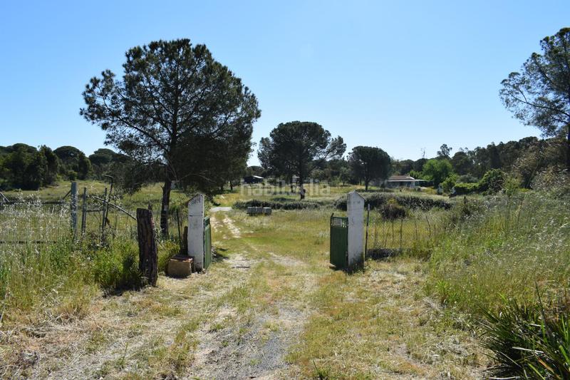 Foto 9899b862-63e7-47fc-86a7-d80ddda2a70a. Masía finca rústica huelva en Lucena del Puerto