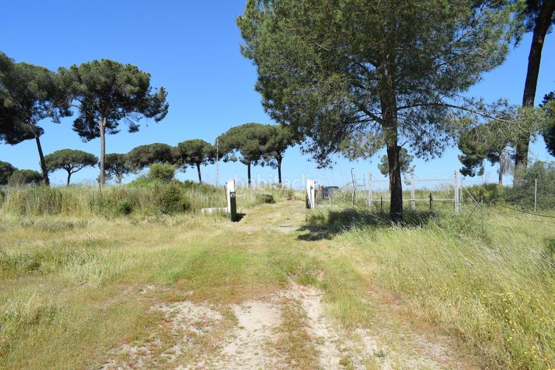 Foto b388e3d7-3846-4601-b053-7f5837375385. Masía finca rústica huelva en Lucena del Puerto