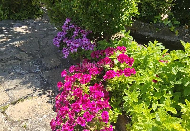 Foto 47a9f9c1-3194-456e-b5b7-f3a53e8b4beb. Mas avec piscine dans Zafra