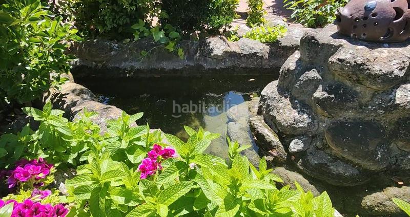 Foto afd29283-0db5-4cb0-b046-edd37766ff47. Mas avec piscine dans Zafra