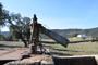 Ampliar foto a5254358-a974-4879-8444-94ae4af26de3.jpg