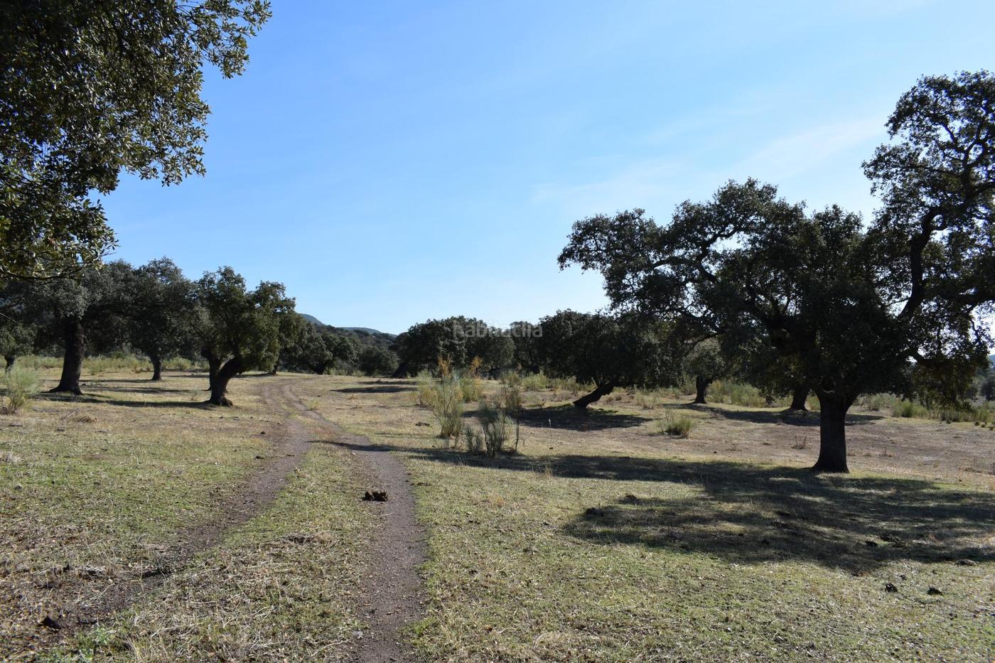 Terreno rstico en Caaveral de Len Huelva Caaveral de Len