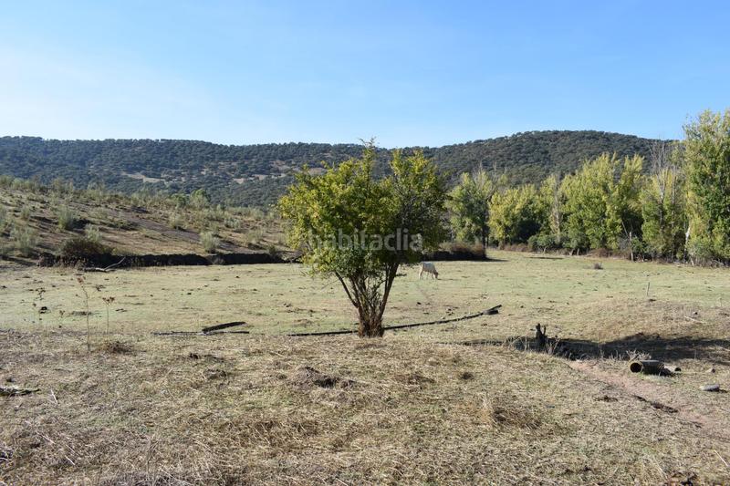 Foto f658ba73-4ce3-4196-94f5-83b1e8e2f326. Finca rústica terreno rústico huelva en Cañaveral de León